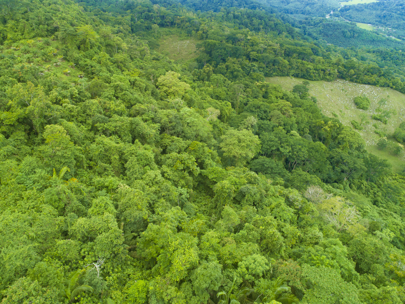 Land For Sale in Golfito Costa Rica